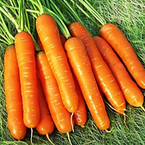 Морковь свежая 1кг