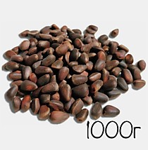 Орех кедровый в скорлупе 0.5 кг