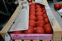 Помидоры Киргизия1кг