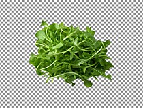 Зелень свежая  (рукола)