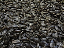 Семечки Пузанок 1 кг