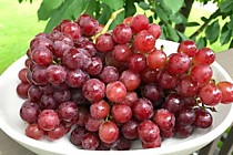 Виноград розовый без косточки сладкий 