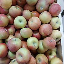 Яблоки Фуши 1 кг